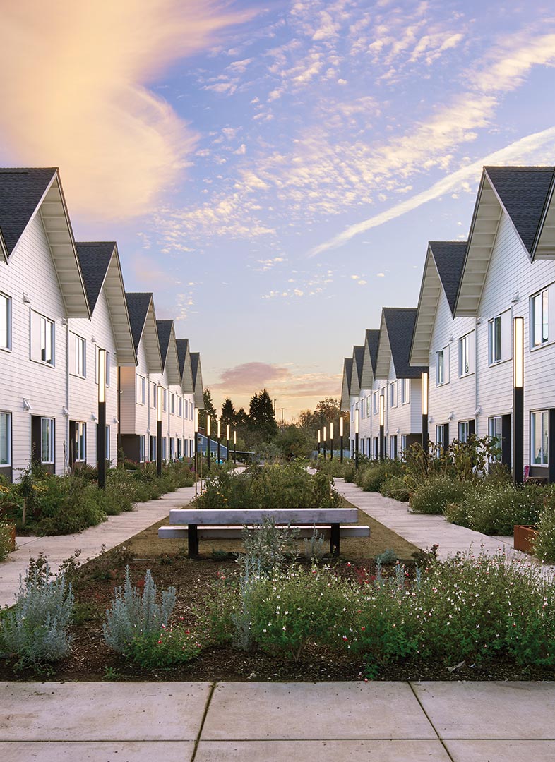 photo-gallery-residential-broadleaf-arbor-16